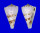 CONIDAE CONUS IONE shell