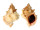 BURSIDAE TUTUFA BUFO shell