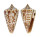 CONIDAE CONUS REGULARIS shell