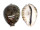 CYPRAEIDAE CYPRAEA TIGRIS shell