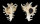MURICIDAE CHICOREUS RAMOSUS shell