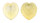 CARDIIDAE CORCULUM CARDISSA shell
