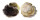 OSTREIDAE ALECTRYONELLA PLICATULA shell