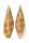 MITRIDAE MITRA STOSSIERI shell