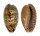 CYPRAEIDAE ERRONEA CAURICA MASIRENSIS shell