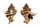MURICIDAE HEXAPLEX TRUNCULUS ARMIGERUS shell