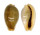 CYPRAEIDAE ERRONEA OVUM shell