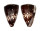 CONIDAE CONUS ATERALBUS shell
