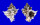 MURICIDAE HEXAPLEX TRUNCULUS ARMIGERUS shell
