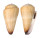 CONIDAE CONUS DISTANS shell