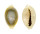 CYPRAEIDAE MONETARIA ANNULUS ROSTRATE shell