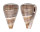 CONIDAE CONUS LOROISII INSIGNIS shell