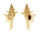 MURICIDAE PTERYNOTUS DUFFUSI shell