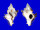 MURICIDAE CHICOREUS BRUNNEUS shell