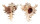 MURICIDAE CHICOREUS RAMOSUS shell