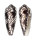 CONIDAE CONUS EPISCOPATUS shell