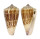 CONIDAE CONUS FURVUS ALBICANS shell