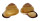 LANDSNAIL HELICOSTYLA cf. COLLODES shell