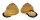 LANDSNAIL HELICOSTYLA cf. COLLODES shell