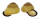 LANDSNAIL HELICOSTYLA cf. COLLODES shell