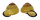 LANDSNAIL HELICOSTYLA cf. COLLODES shell