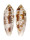 CONIDAE CONUS NUSSATELLA shell