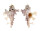 MURICIDAE HOMALOCANTHA ZAMBOI shell