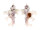MURICIDAE HOMALOCANTHA ZAMBOI shell