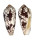 CONIDAE CONUS EPISCOPATUS shell