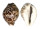 CYPRAEIDAE CYPRAEA TIGRIS shell