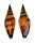 MITRIDAE VEXILLUM VULPECULA shell