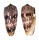 CONIDAE CONUS STRIATUS shell