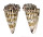 CONIDAE CONUS LITTERATUS shell