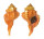 RANELLIDAE RANULARIA PYRUM shell