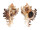 MURICIDAE CHICOREUS RAMOSUS shell