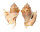 STROMBIDAE LAMBIS LAMBIS shell