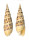 TEREBRIDAE TEREBRA MACULATA shell
