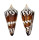 CONIDAE CONUS GENERALIS REGENFUSSI shell