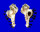 MURICIDAE HOMALOCANTHA NINAE shell