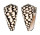 CONIDAE CONUS MARMOREUS shell