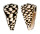 CONIDAE CONUS MARMOREUS shell