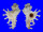 MURICIDAE HOMALOCANTHA PISORI shell