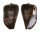 CONIDAE CONUS LOROISII INSIGNIS shell