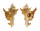 MURICIDAE PURPURELLUS GAMBIENSIS shell