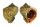 MURICIDAE RAPANA VENOSA shell