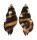RANELLIDAE CYMATIUM FLAVEOLUM shell