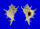 MURICIDAE CHICOREUS BOUCHETI shell