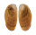 VULSELLIDAE VULSELLA VULSELLA shell