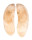 VULSELLIDAE VULSELLA VULSELLA shell
