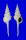 FASCIOLARIIDAE FUSINUS LONGISSIMUS shell